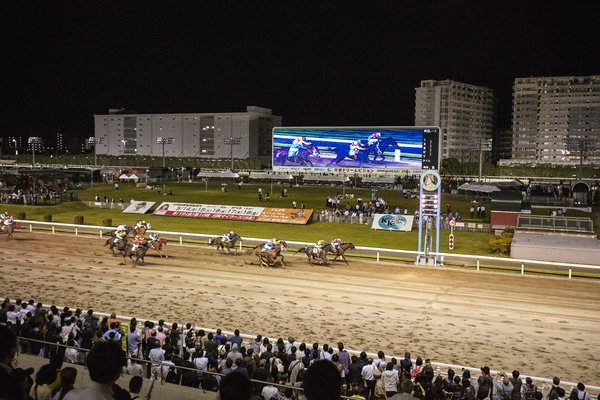 🏇 가와사키 경마장 (카와사키 케이바조) 이미지 1